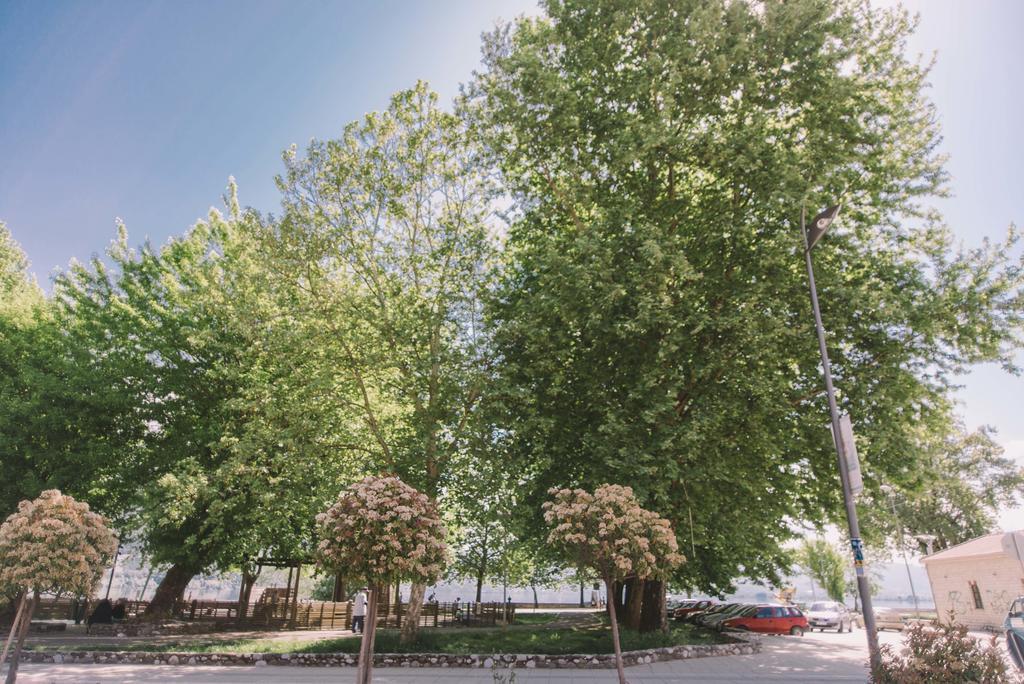 Z Inn Ioannina Bagian luar foto